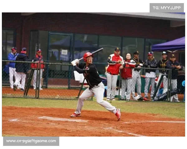 四大分区赛参赛队伍达65支，慢投垒球企业联赛影响力创历届新高