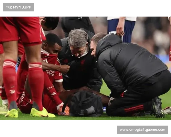 苏莱伤退加剧罗马锋线危机，冬窗引援迫在眉睫